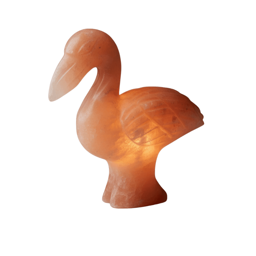 Original Hand-Carved Duck Lamp Himalayan Salt Stone Lamp - Premium Khewra Rock Salt Decor in Pakistan - Orania Premium