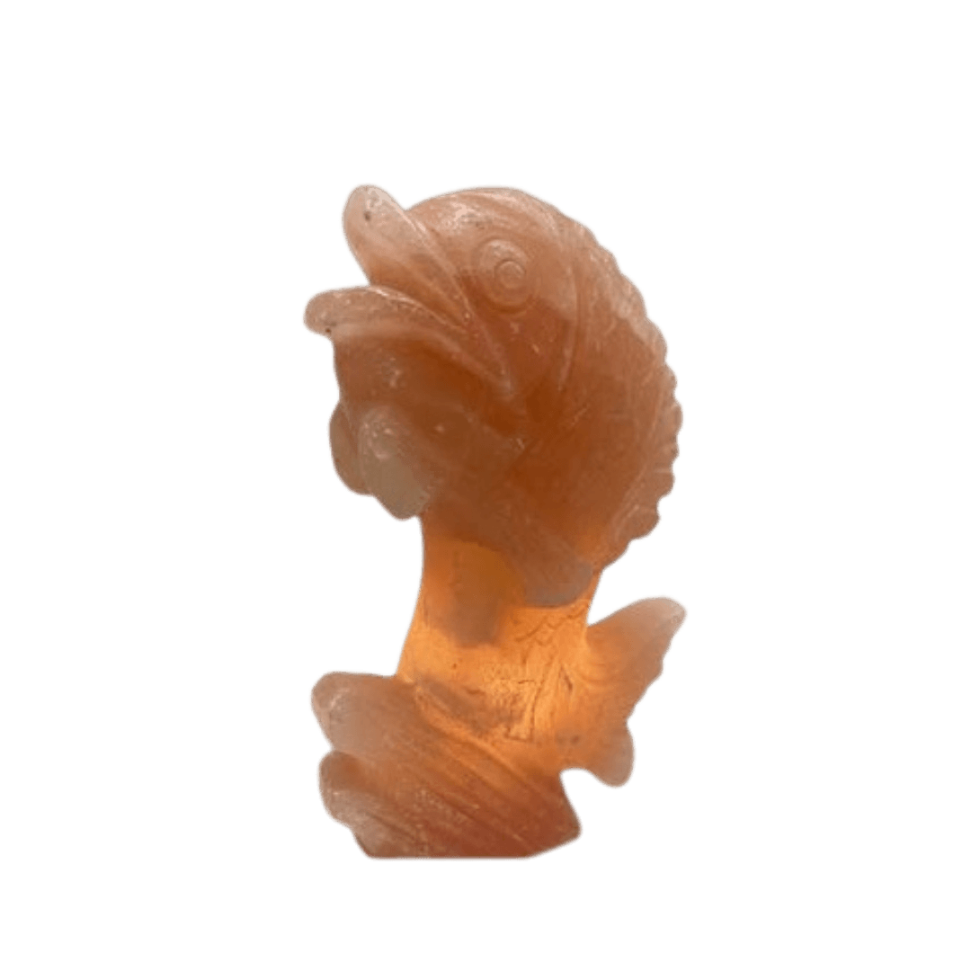 Original Hand-Carved Fish Shape Lamp Big Himalayan Salt Stone Lamp - Premium Khewra Rock Salt Decor in Pakistan - Orania Premium