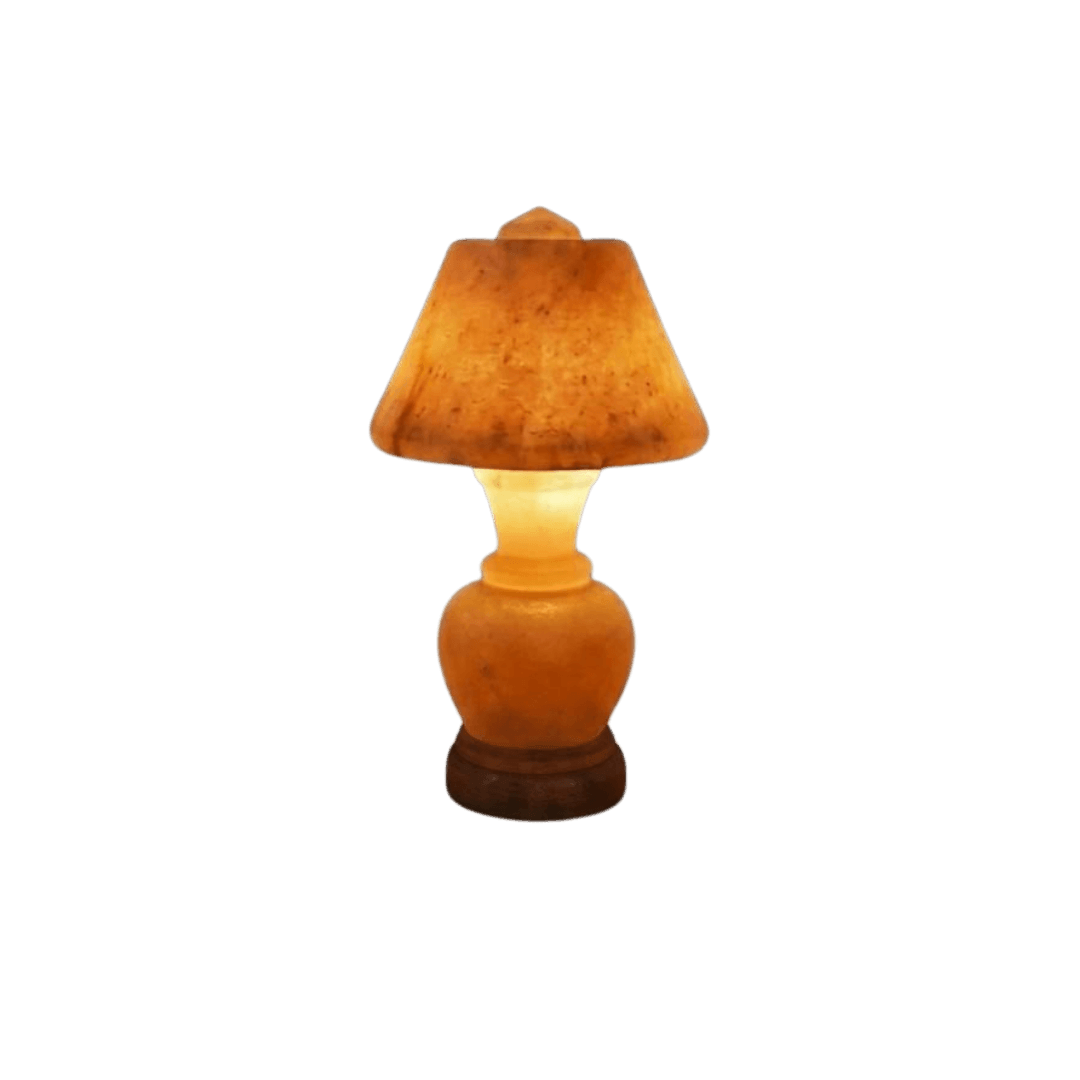Original Hand-Carved Table Lamp Small Himalayan Salt Stone Lamp - Premium Khewra Rock Salt Decor in Pakistan - Orania Premium